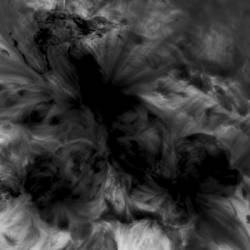 Blind Spite : Extinction Event